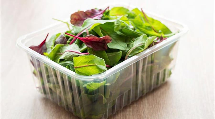 Envii Oberstempelmaterial